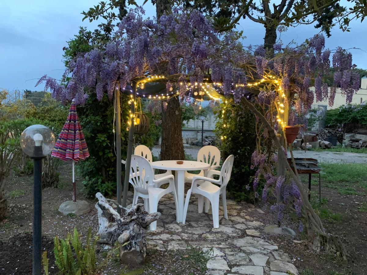 Anna Guest house *